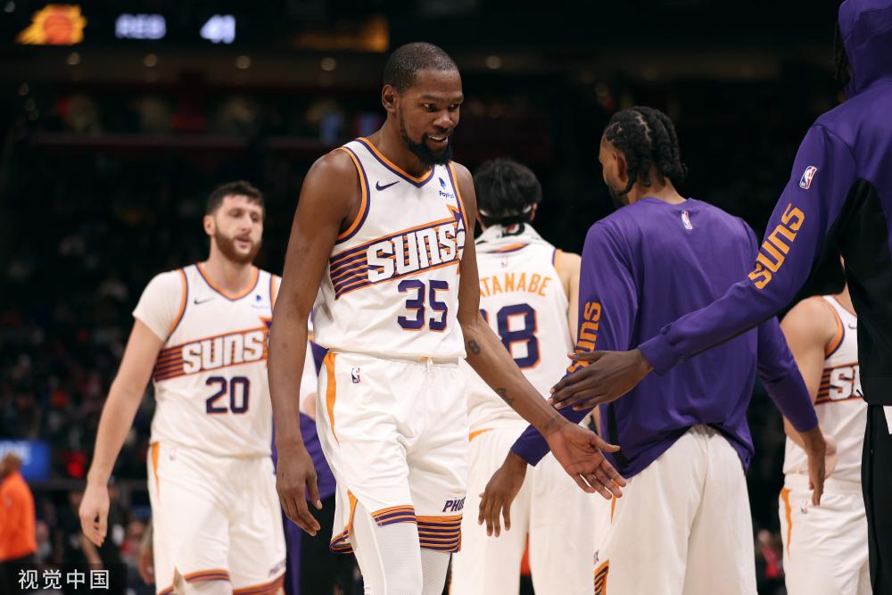 野生动物 野生动物